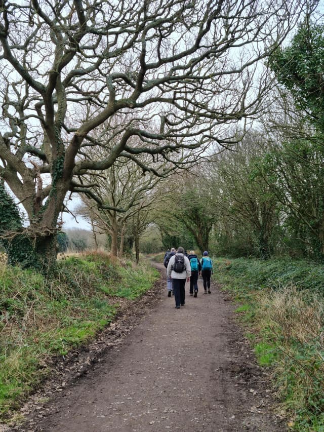 Wandelcoaching